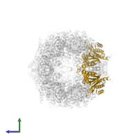Probable proteasome subunit alpha type-7 in PDB entry 5fg7, assembly 1, side view.