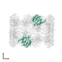 Proteasome subunit beta type-3 in PDB entry 5fg7, assembly 1, front view.