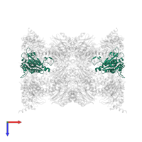 Proteasome subunit alpha type-2 in PDB entry 5fhs, assembly 1, top view.