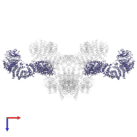 REGULATORY-ASSOCIATED PROTEIN OF MTOR in PDB entry 5flc, assembly 1, top view.