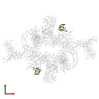 FKBP in PDB entry 5flc, assembly 1, front view.