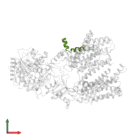 POLY ALA CHAIN in PDB entry 5fn3, assembly 1, front view.