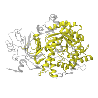 The deposited structure of PDB entry 5fse contains 1 copy of Pfam domain PF01979 (Amidohydrolase family) in Urease subunit alpha. Showing 1 copy in chain C.