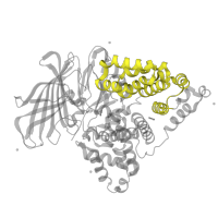 The deposited structure of PDB entry 5fwq contains 1 copy of Pfam domain PF09127 (Leukotriene A4 hydrolase, C-terminal) in Leukotriene A-4 hydrolase. Showing 1 copy in chain A.