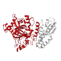 The deposited structure of PDB entry 5fz4 contains 1 copy of CATH domain 2.60.120.650 (Jelly Rolls) in Lysine-specific demethylase 5B. Showing 1 copy in chain A.