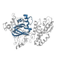 The deposited structure of PDB entry 5fz4 contains 1 copy of Pfam domain PF02373 (JmjC domain, hydroxylase) in Lysine-specific demethylase 5B. Showing 1 copy in chain A.