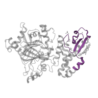 The deposited structure of PDB entry 5fz4 contains 1 copy of Pfam domain PF02928 (C5HC2 zinc finger) in Lysine-specific demethylase 5B. Showing 1 copy in chain A.