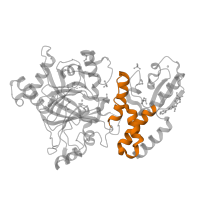 The deposited structure of PDB entry 5fz4 contains 1 copy of Pfam domain PF21323 (Lysine-specific demethylase 5, C-terminal helical domain) in Lysine-specific demethylase 5B. Showing 1 copy in chain A.