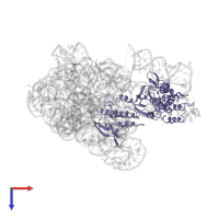 Group II intron-encoded protein LtrA in PDB entry 5g2x, assembly 1, top view.