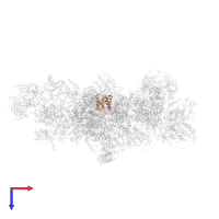 13 kDa ribonucleoprotein-associated protein in PDB entry 5gan, assembly 1, top view.