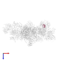 U6 snRNA-associated Sm-like protein LSm5 in PDB entry 5gan, assembly 1, top view.