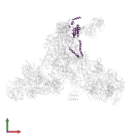 U4/U6 small nuclear ribonucleoprotein PRP3 in PDB entry 5gan, assembly 1, front view.