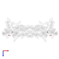 26S proteasome complex subunit SEM1 in PDB entry 5gjr, assembly 1, top view.