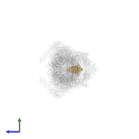 Proteasome subunit alpha type-6 in PDB entry 5gjr, assembly 1, side view.