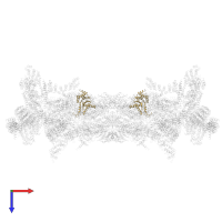 Proteasome subunit alpha type-6 in PDB entry 5gjr, assembly 1, top view.