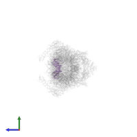 Proteasome subunit alpha type-4 in PDB entry 5gjr, assembly 1, side view.