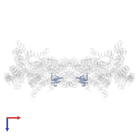 Proteasome subunit alpha type-5 in PDB entry 5gjr, assembly 1, top view.