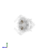 Proteasome subunit beta type-3 in PDB entry 5gjr, assembly 1, side view.