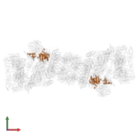 26S proteasome regulatory subunit 7 in PDB entry 5gjr, assembly 1, front view.