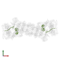 26S proteasome regulatory subunit 8 in PDB entry 5gjr, assembly 1, front view.