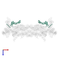 26S proteasome non-ATPase regulatory subunit 12 in PDB entry 5gjr, assembly 1, top view.