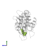 PINACOL[[2-AMINO-ALPHA-(1-CARBOXY-1-METHYLETHOXYIMINO)-4-THIAZOLEACETYL]AMINO]METHANEBORONATE in PDB entry 5gld, assembly 1, side view.