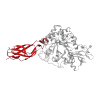 The deposited structure of PDB entry 5gpr contains 1 copy of CATH domain 2.60.40.10 (Immunoglobulin-like) in GH18 domain-containing protein. Showing 1 copy in chain A.