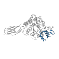 The deposited structure of PDB entry 5gpr contains 1 copy of CATH domain 3.10.50.10 (Chitinase A; domain 3) in GH18 domain-containing protein. Showing 1 copy in chain A.