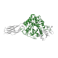 The deposited structure of PDB entry 5gpr contains 1 copy of CATH domain 3.20.20.80 (TIM Barrel) in GH18 domain-containing protein. Showing 1 copy in chain A.