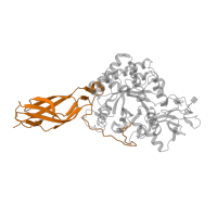 The deposited structure of PDB entry 5gpr contains 1 copy of Pfam domain PF08329 (Chitinase A, N-terminal domain) in GH18 domain-containing protein. Showing 1 copy in chain A.