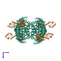 Hetero octameric assembly 2 of PDB entry 5h7d coloured by chemically distinct molecules, top view.