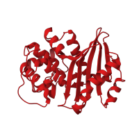 The deposited structure of PDB entry 5haq contains 2 copies of CATH domain 3.40.710.10 (Beta-lactamase) in Beta-lactamase. Showing 1 copy in chain A.