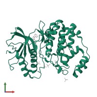 Mitogen-activated protein kinase 1 in PDB entry 5hd7, assembly 1, front view.