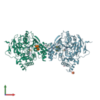 PDB entry 5hfa coloured by chain, front view.