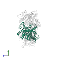 Tubulin alpha-1B chain in PDB entry 5hny, assembly 1, side view.