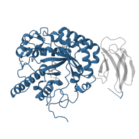 The deposited structure of PDB entry 5i5r contains 4 copies of CATH domain 3.20.20.80 (TIM Barrel) in Alpha-L-fucosidase. Showing 1 copy in chain C.