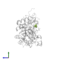 SULFATE ION in PDB entry 5i5r, assembly 4, side view.