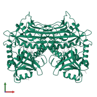 Branched-chain-amino-acid aminotransferase, mitochondrial in PDB entry 5i5v, assembly 1, front view.