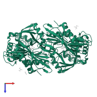 Branched-chain-amino-acid aminotransferase, mitochondrial in PDB entry 5i5v, assembly 1, top view.