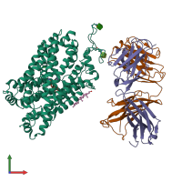 PDB entry 5i6x coloured by chain, front view.