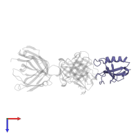 Neuronal migration protein doublecortin in PDB entry 5ikc, assembly 1, top view.