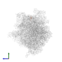 Large ribosomal subunit protein bL33 in PDB entry 5imq, assembly 1, side view.