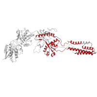 The deposited structure of PDB entry 5iou contains 2 copies of Pfam domain PF00060 (Ligand-gated ion channel) in Glutamate receptor ionotropic, NMDA 1. Showing 1 copy in chain A.