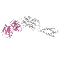 The deposited structure of PDB entry 5iou contains 2 copies of Pfam domain PF01094 (Receptor family ligand binding region) in Glutamate receptor ionotropic, NMDA 2B. Showing 1 copy in chain C [auth B].