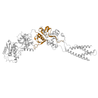 The deposited structure of PDB entry 5iou contains 2 copies of Pfam domain PF10613 (Ligated ion channel L-glutamate- and glycine-binding site) in Glutamate receptor ionotropic, NMDA 2B. Showing 1 copy in chain C [auth B].