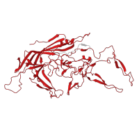The deposited structure of PDB entry 5ipi contains 60 copies of Pfam domain PF00740 (Parvovirus coat protein VP2) in Capsid protein VP1. Showing 1 copy in chain AB [auth 1].