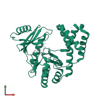 Bifunctional AAC/APH in PDB entry 5iqa, assembly 1, front view.