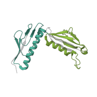 The deposited structure of PDB entry 5it7 contains 2 copies of Pfam domain PF00347 (Ribosomal protein L6) in Ribosomal protein L6 alpha-beta domain-containing protein. Showing 2 copies in chain K [auth HH].