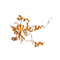 The deposited structure of PDB entry 5it7 contains 1 copy of Pfam domain PF00827 (Ribosomal L15) in Ribosomal protein L15. Showing 1 copy in chain P [auth NN].