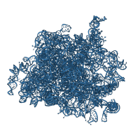 The deposited structure of PDB entry 5it7 contains 1 copy of Rfam domain RF02543 (Eukaryotic large subunit ribosomal RNA) in 25S ribosomal RNA. Showing 1 copy in chain A [auth 5].